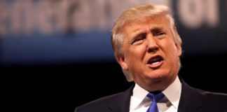 Trump And Trucking: What It Means For Trucking Industry Trump And Trucking