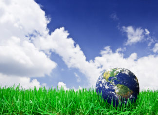 Tips For Truckers To Go Green Trucking Going Green