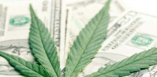 Trucking Industry Wants To Take Marijuana On And A Lot Of People Agree Marijuana And Trucking